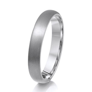 Titanium Court Matt 4mm Ring