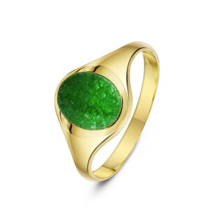 9ct Yellow Gold with Oval Green Jade set in an Oval Shaped Signet Ring